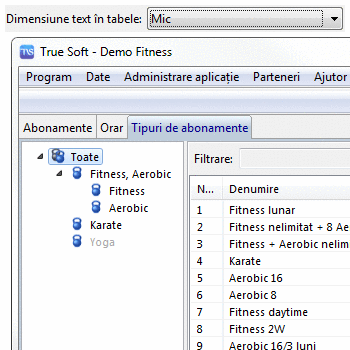 Configurare dimensiune text